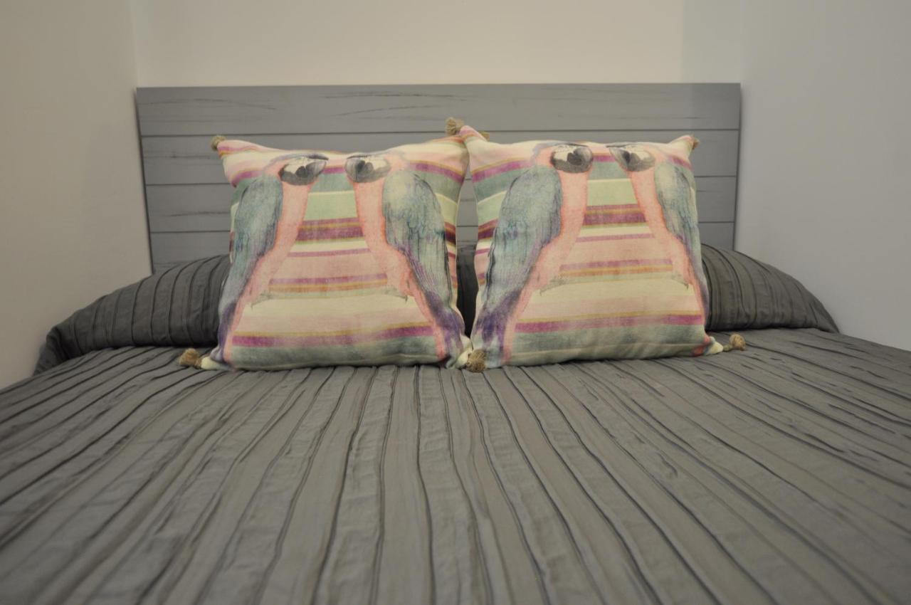 Apartamento Luminoso Y Coqueto Con Jardín